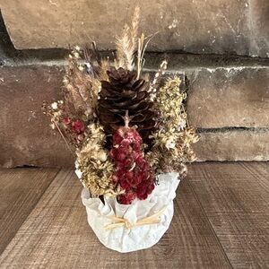 Rustic Holiday Pinecone fire starter